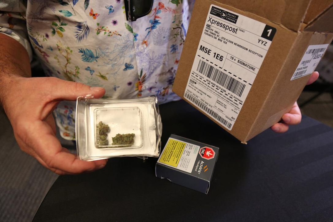 Online Cannabis Store Canada